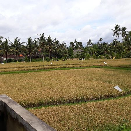 Umah Dangin Guest House Ubud Eksteriør billede