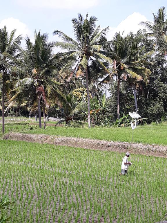 Umah Dangin Guest House Ubud Eksteriør billede